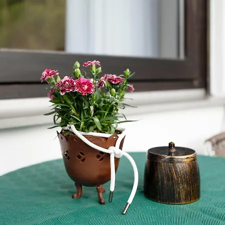 Apartamento Haus Seiler *