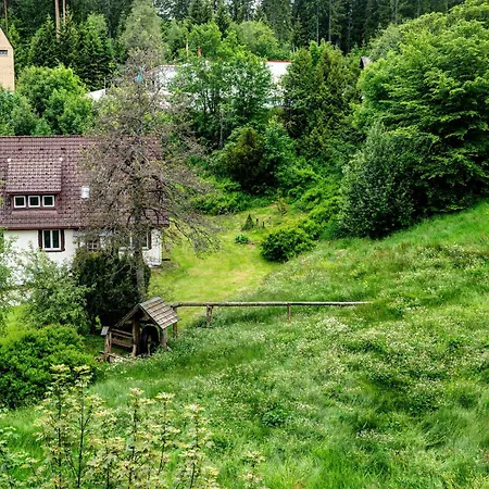 Haus Seiler شقة فرودنستاد